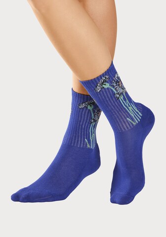 Chaussettes LASCANA en beige