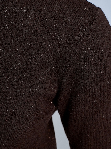 Pullover 'Pullover' di Dilvin in marrone