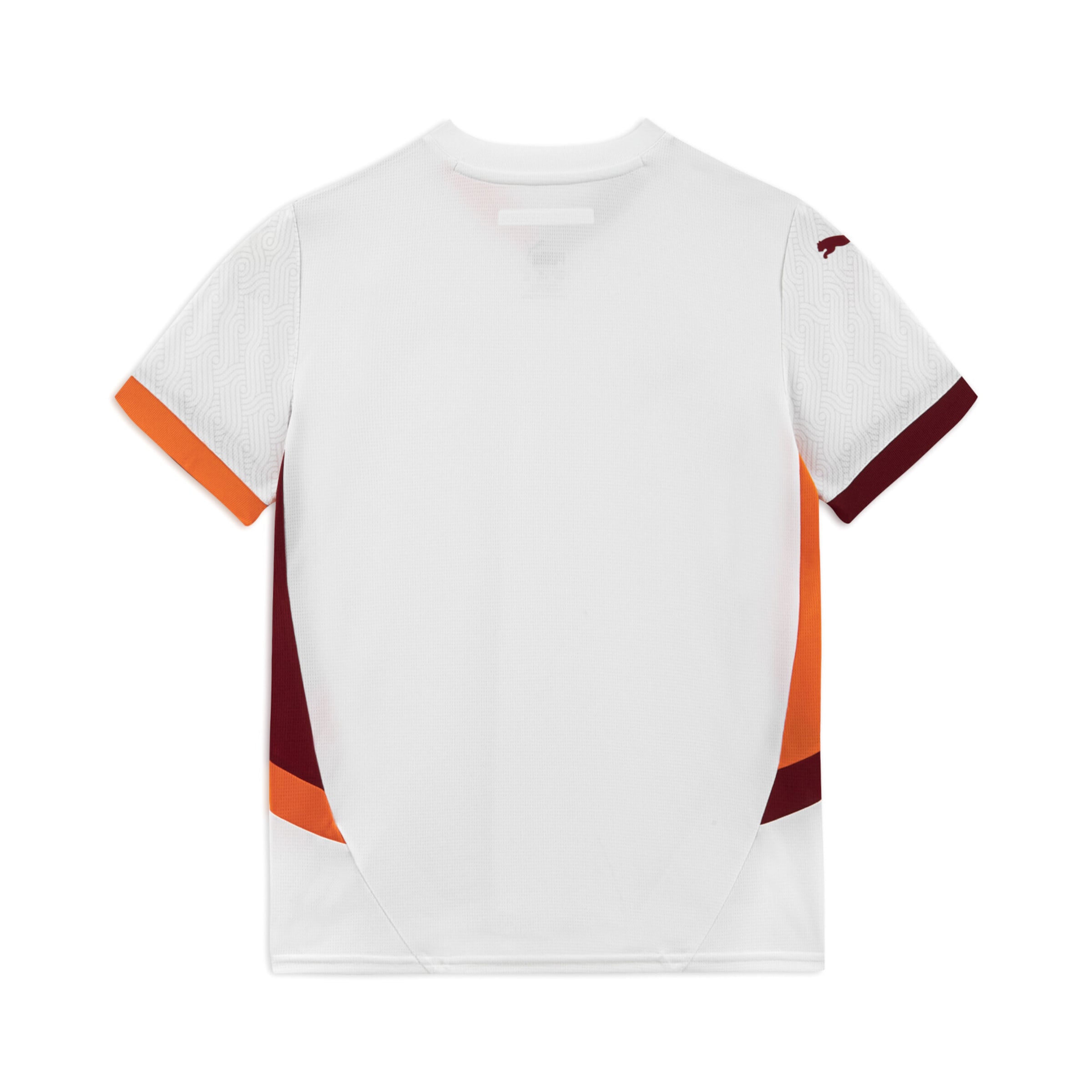 PUMA Trikot 'Galatasaray SK 24/25' in Weiß