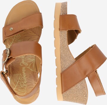 PANAMA JACK Sandals 'Velvet' in Brown