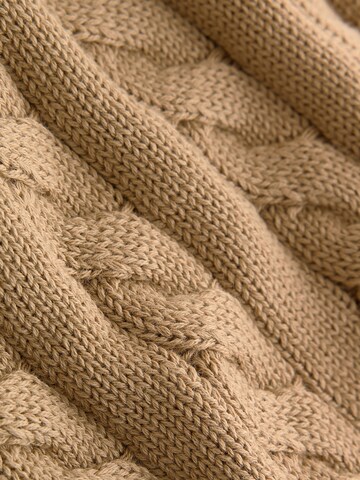 Pullover di Next in marrone