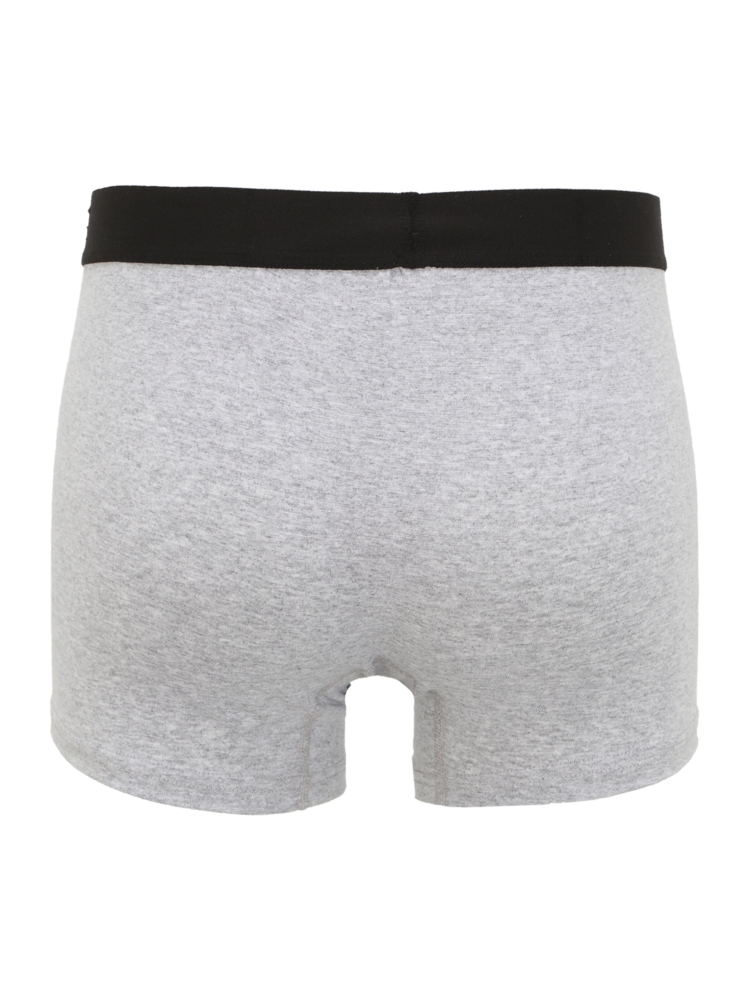 Albert Schäfer Boxer shorts in Grey
