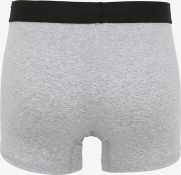 Albert Schäfer Boxershorts in Grau