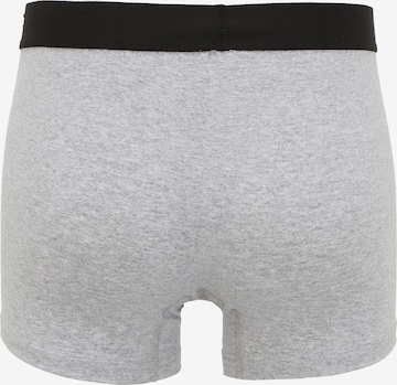 Albert Schäfer Boxer shorts in Grey