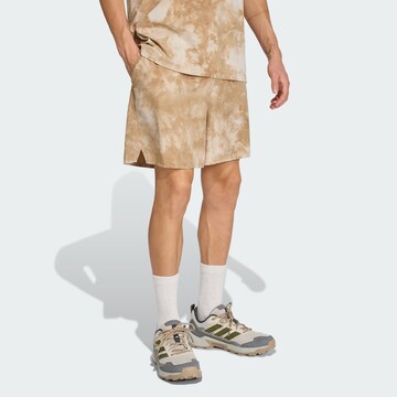 ADIDAS TERREX Regular Outdoorbroek in Beige: voorkant