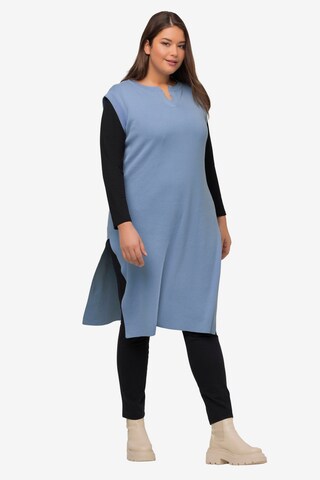 Ulla Popken Pullover  (GOTS) in Blau