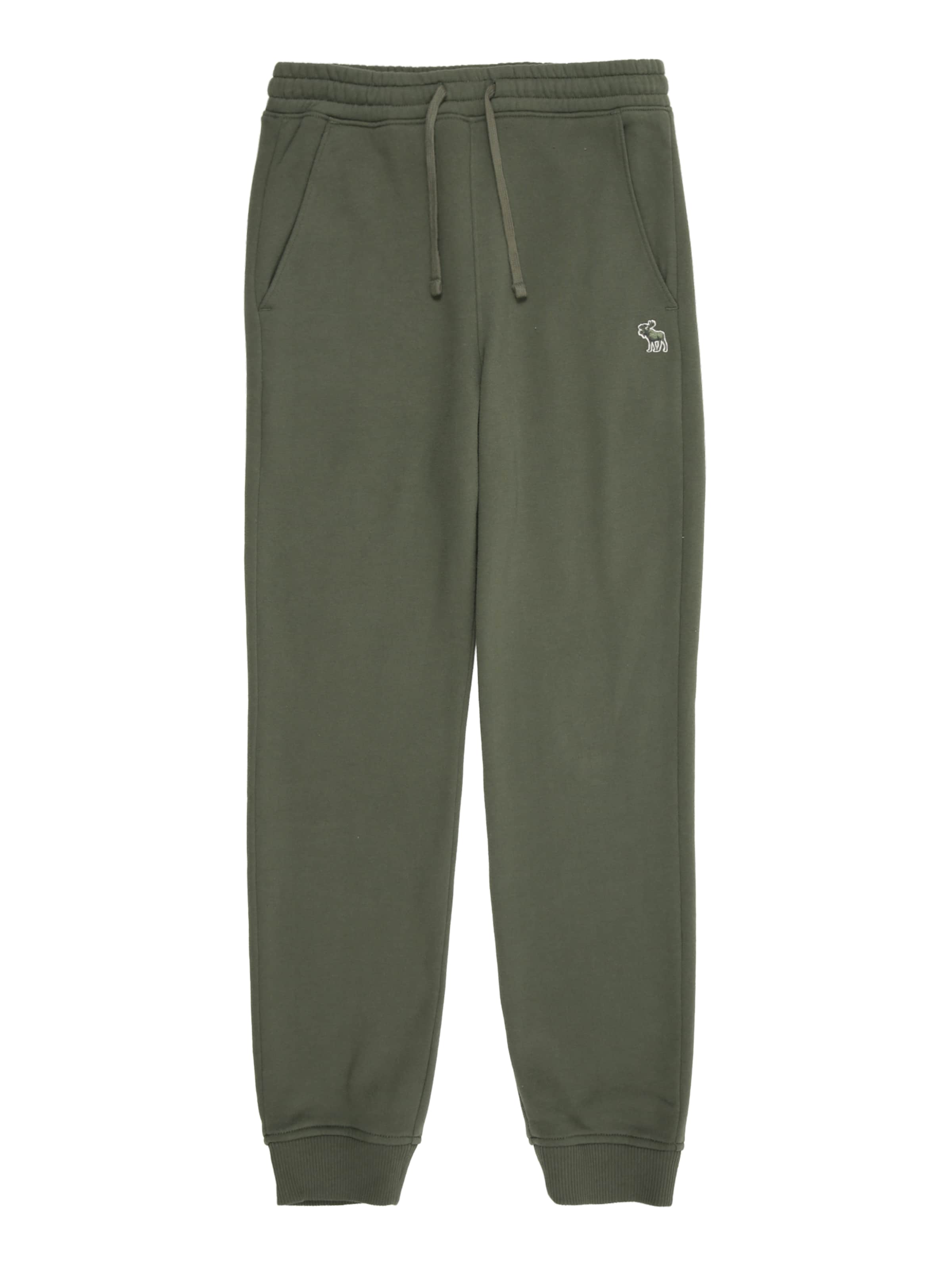 žalia Abercrombie & Fitch Siaurėjantis Kelnės 'ESSENTIAL': priekis