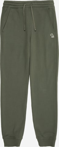 žalia Abercrombie & Fitch Siaurėjantis Kelnės 'ESSENTIAL': priekis