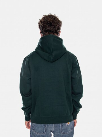 Carhartt WIP Sweatshirt 'HOODED CARHARTT SWEAT DARK SCARAB / PALISANDER' in Groen