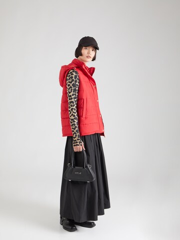 Gilet di 19V69 ITALIA in rosso
