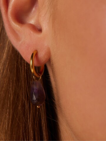 Boucles d'oreilles Lucardi en or : devant
