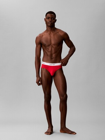 Calvin Klein Underwear Slip in Gemengde kleuren