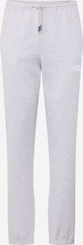 THE NORTH FACE Tapered Pants 'ESSENTIAL' in Grey: front