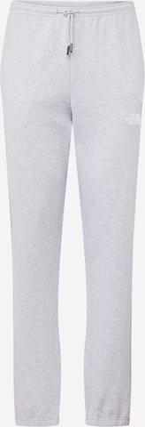 Effilé Pantalon 'ESSENTIAL' THE NORTH FACE en gris : devant