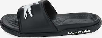 Zoccoletto di LACOSTE in nero: frontale