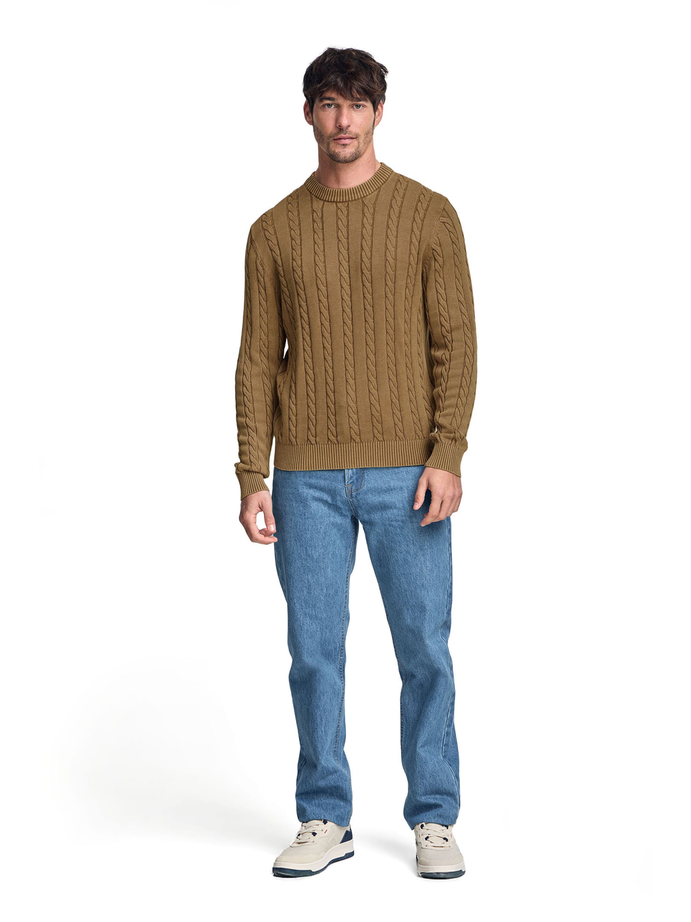 Polo Club Pullover in Braun