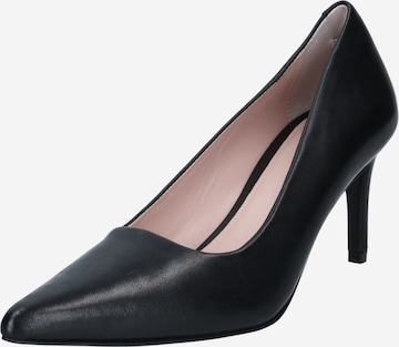 Tiger of Sweden Pumps 'CLINIALA' in Black: front