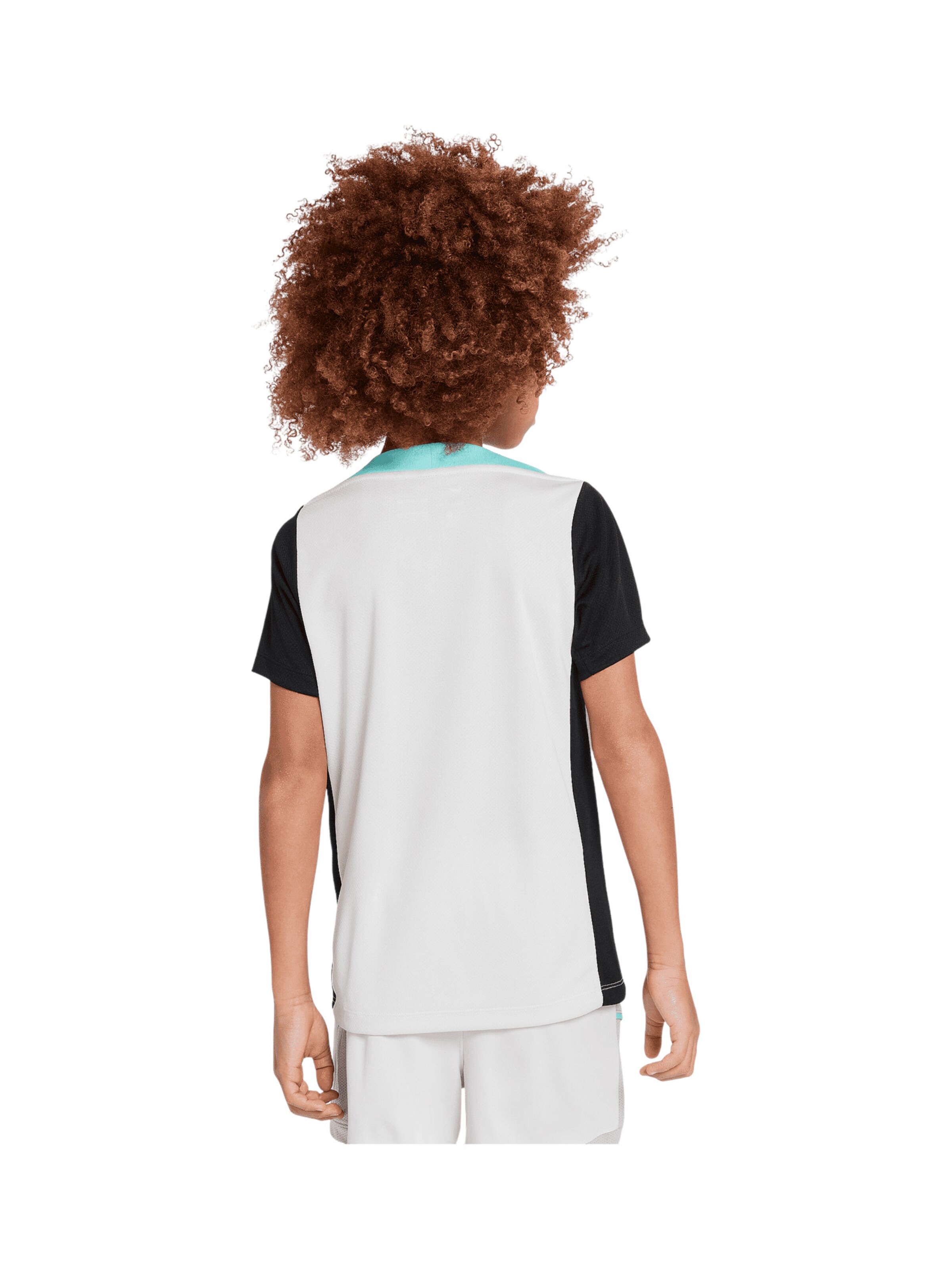 NIKE Funktionsshirt in Grau