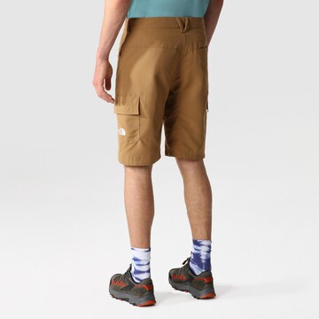 THE NORTH FACE Regular Cargo Pants 'Horizon Circular' in Brown