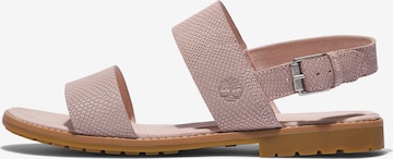 TIMBERLAND Sandals 'Chicago Riverside' in Pink: front