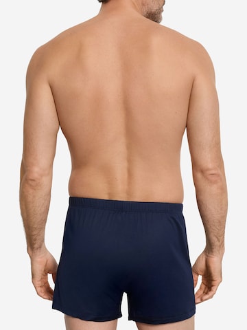 Hanro Boxer shorts ' Cotton Sporty ' in Blue