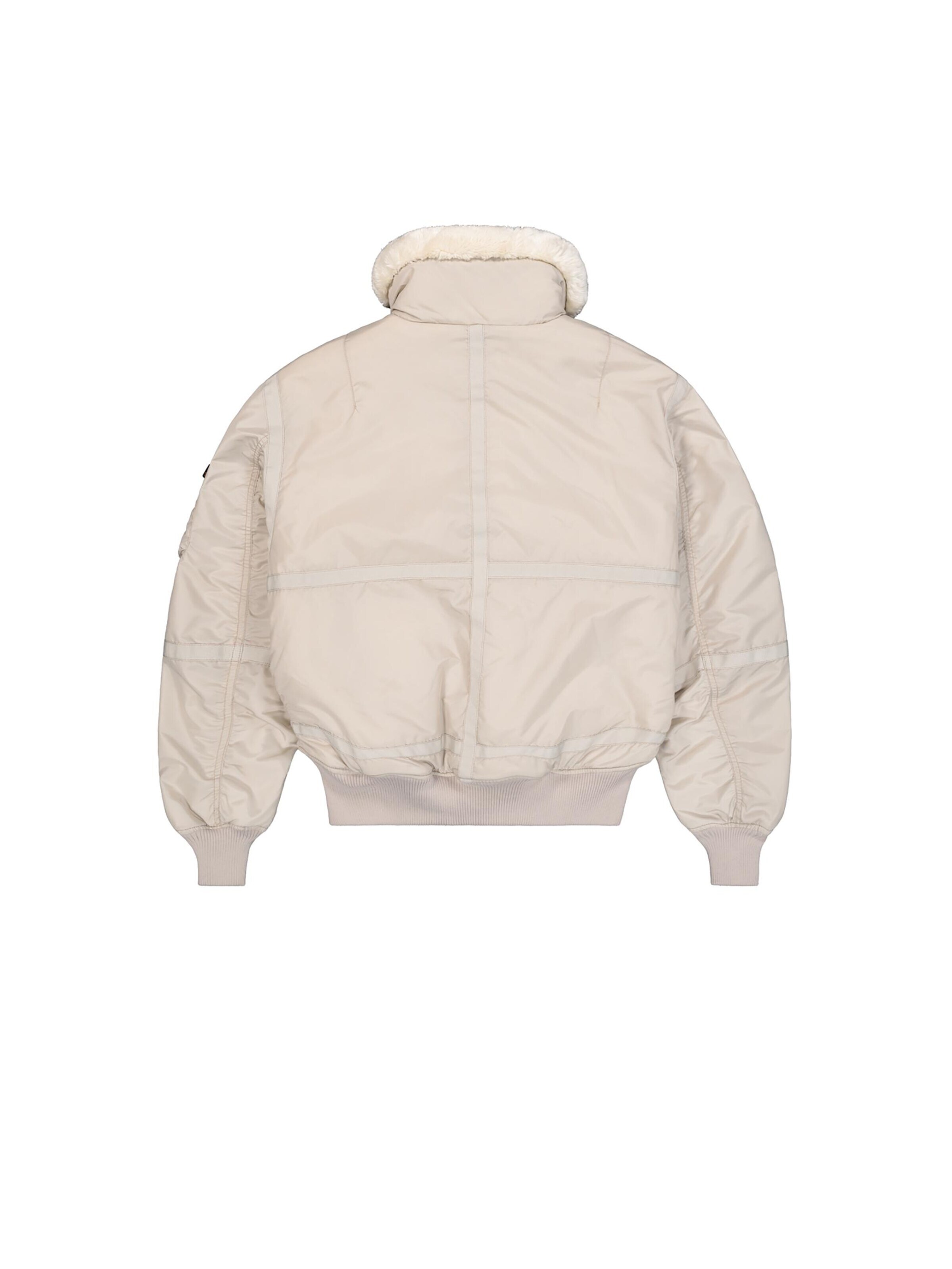 bēšs ALPHA INDUSTRIES Standarta piegriezums Ziemas jaka 'B15-3 TT'