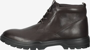 ECCO Chukka Boots in Bruin