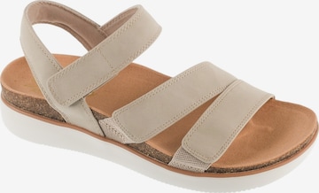 SKECHERS Sandal 'Skechers Lifted Comfort' in Grey: front