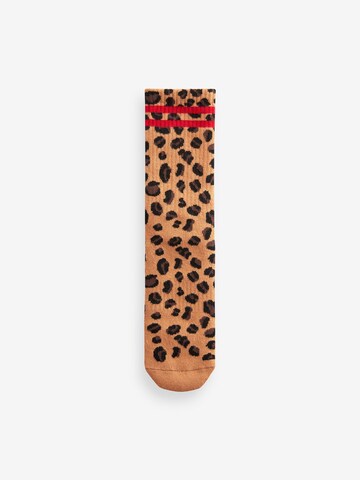 Next Socken in Mischfarben