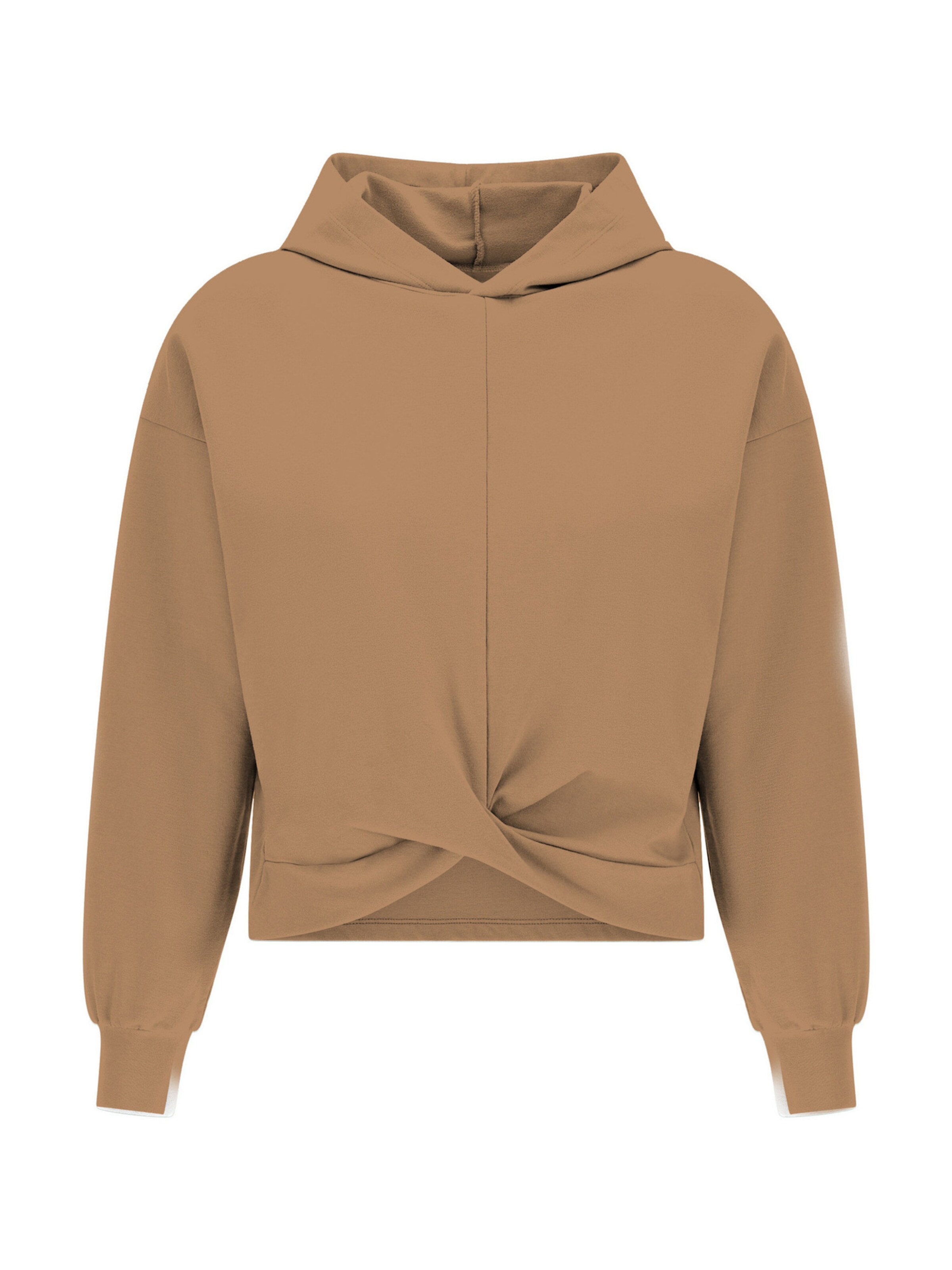 DEHA Sweatshirt in Brown: front