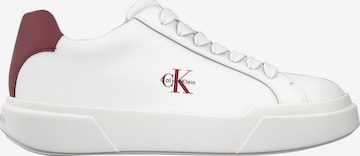 Baskets basses Calvin Klein en blanc : devant
