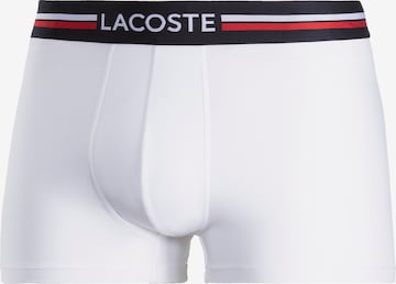 Regular Boxers LACOSTE en bleu