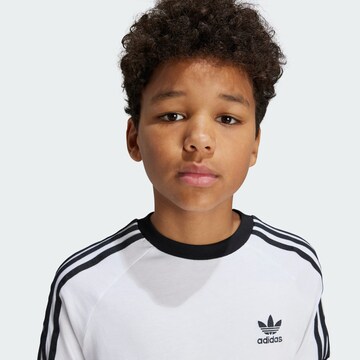ADIDAS ORIGINALS Shirt 'Adicolor' in Wit