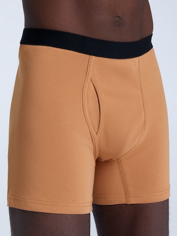 Albero Natur Boxershorts in Gelb