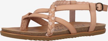 Blowfish Malibu T-Bar Sandals in Brown: front