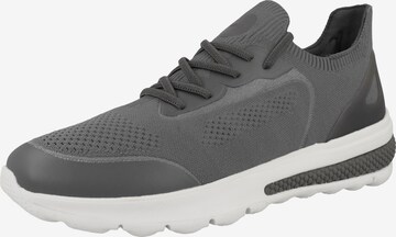 Baskets basses 'Spherica Actif' GEOX en gris : devant