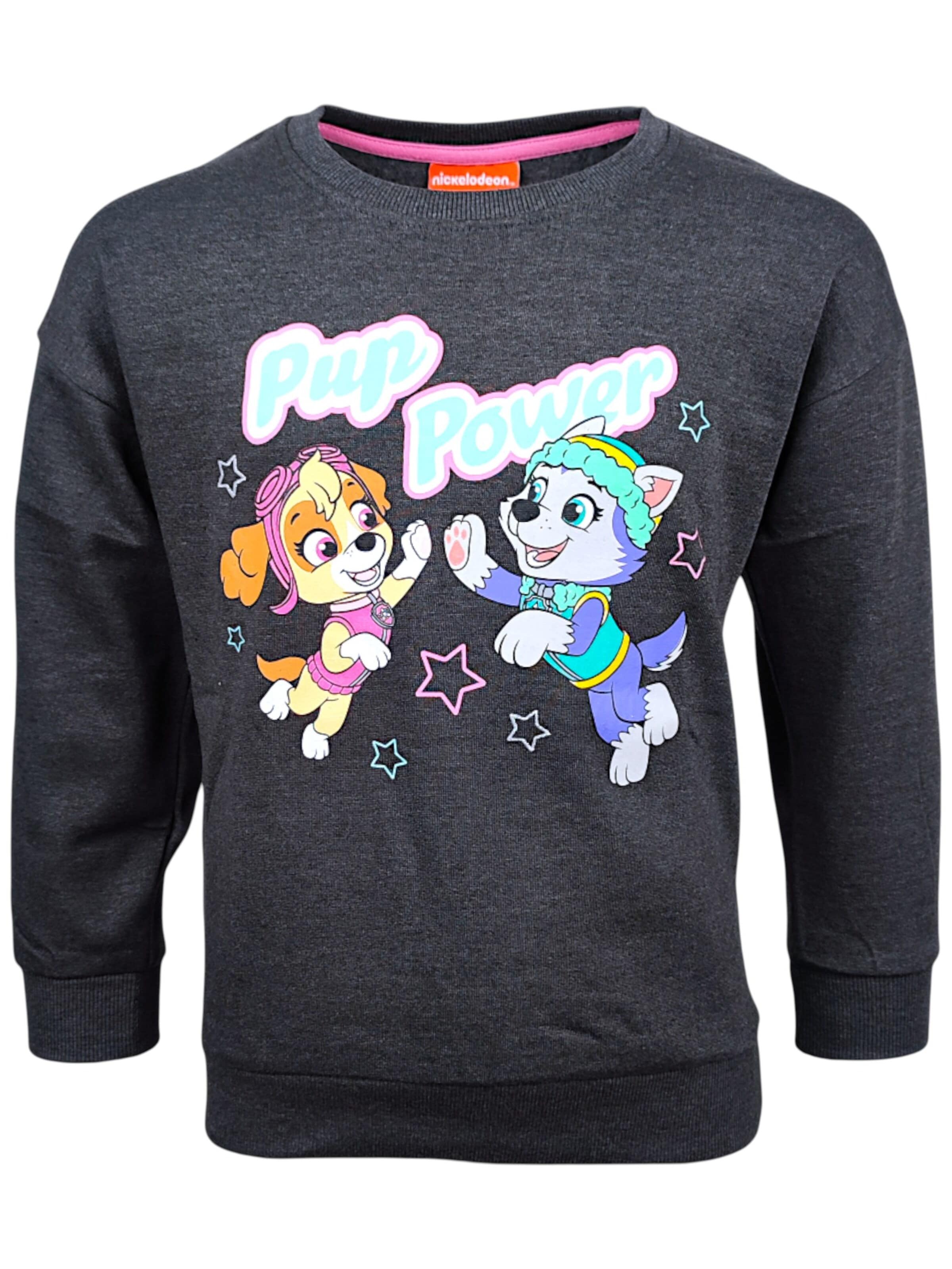 Paw Patrol Sweatshirt 'Skye'‌ in Grau: Vorderseite