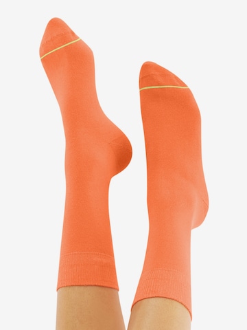 CHEERIO* Socks 'BEST FRIEND' in Orange: back