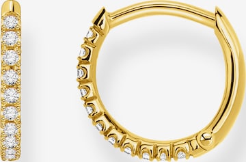 Thomas Sabo Creole in Gold: Vorderseite