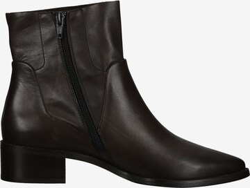 Paul Green Ankle Boots '8074' in Brown