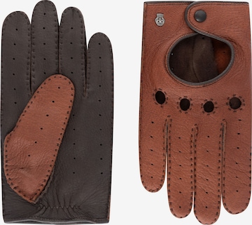 Gants 'Toronto' Roeckl en marron : devant