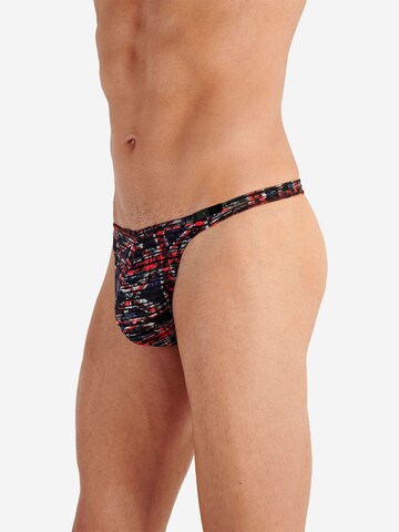 Slip ' British Malcolm ' HOM en mélange de couleurs