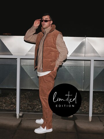 ABOUT YOU Limited Regular Trousers 'Noel' in Brown: front