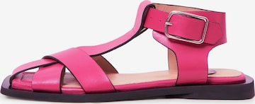 CESARE GASPARI Strap Sandals in Pink: front