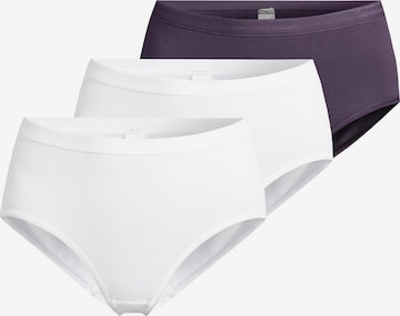 SPEIDEL Panty 'Everyday' in Purple: front