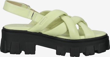 ILC Strap Sandals in Green