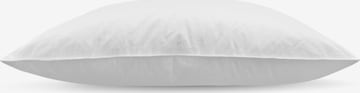 Aspero Pillow ' Manila ' in White