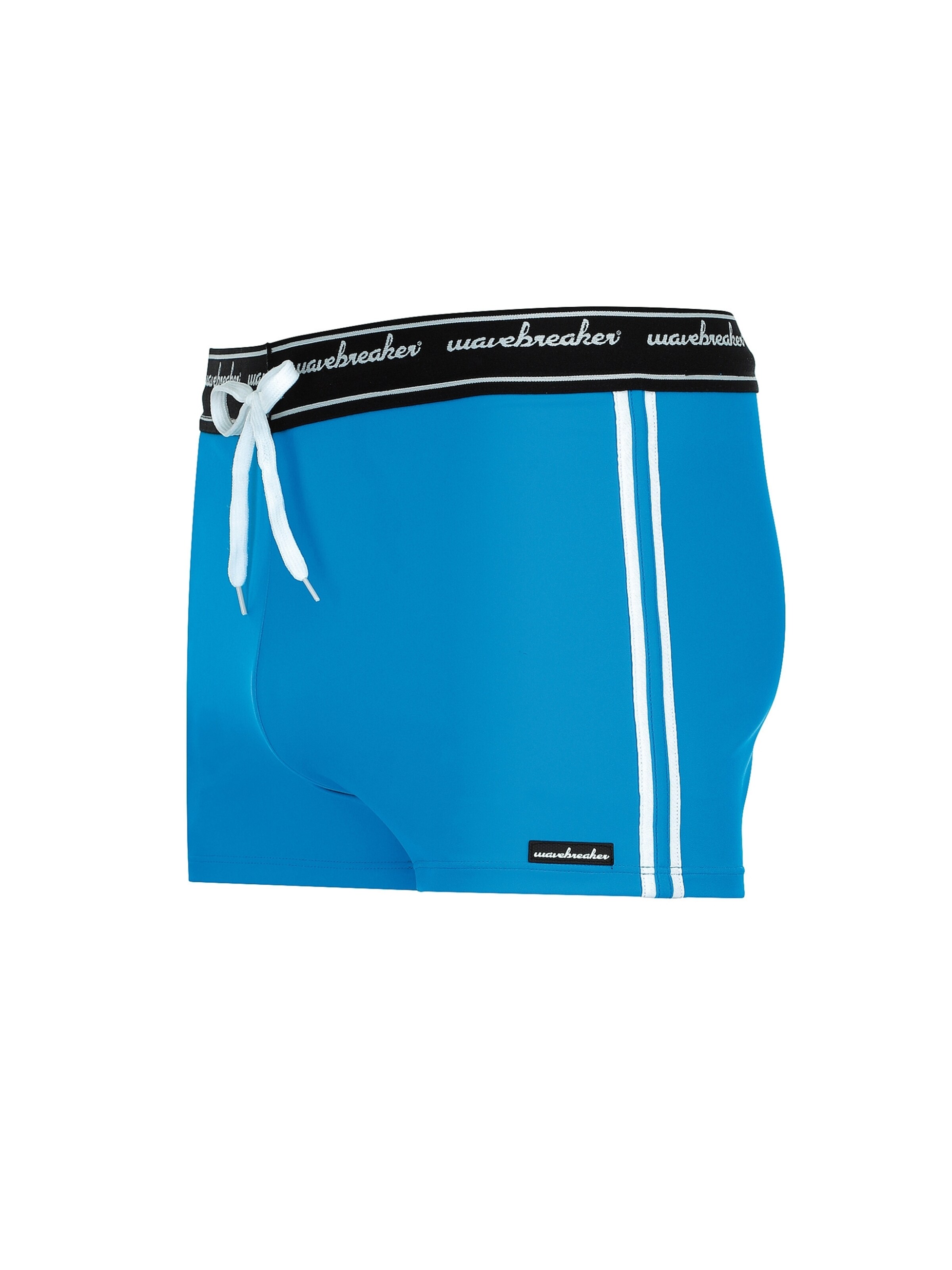 wavebreaker Swim Trunks in Blue