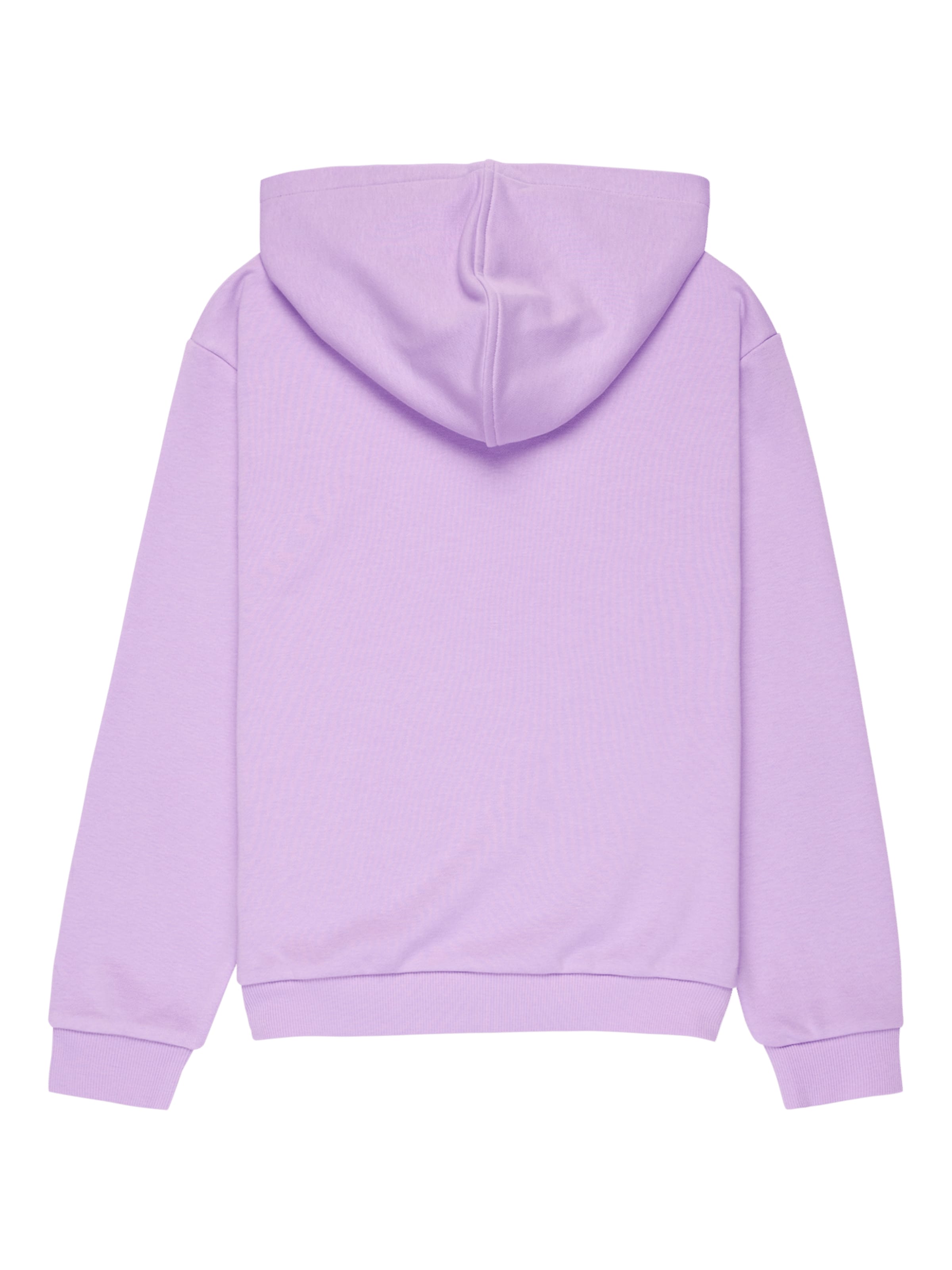 ROXY Sweatshirt 'Surf Feeling' in Purple