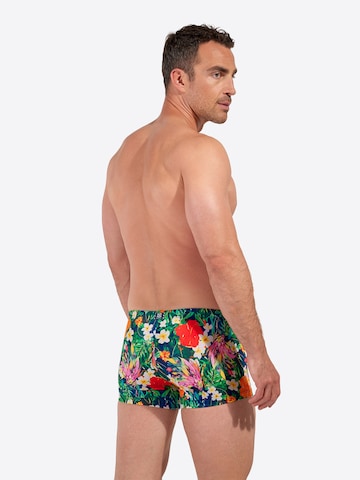 Shorts de bain ' Swim Shorts Peacock ' HOM en mélange de couleurs